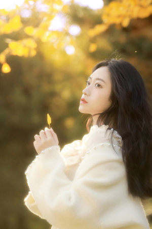 外國大片又大又好看的PPT-